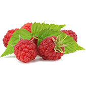 Raspberry Ketone - Slendarol Reviews